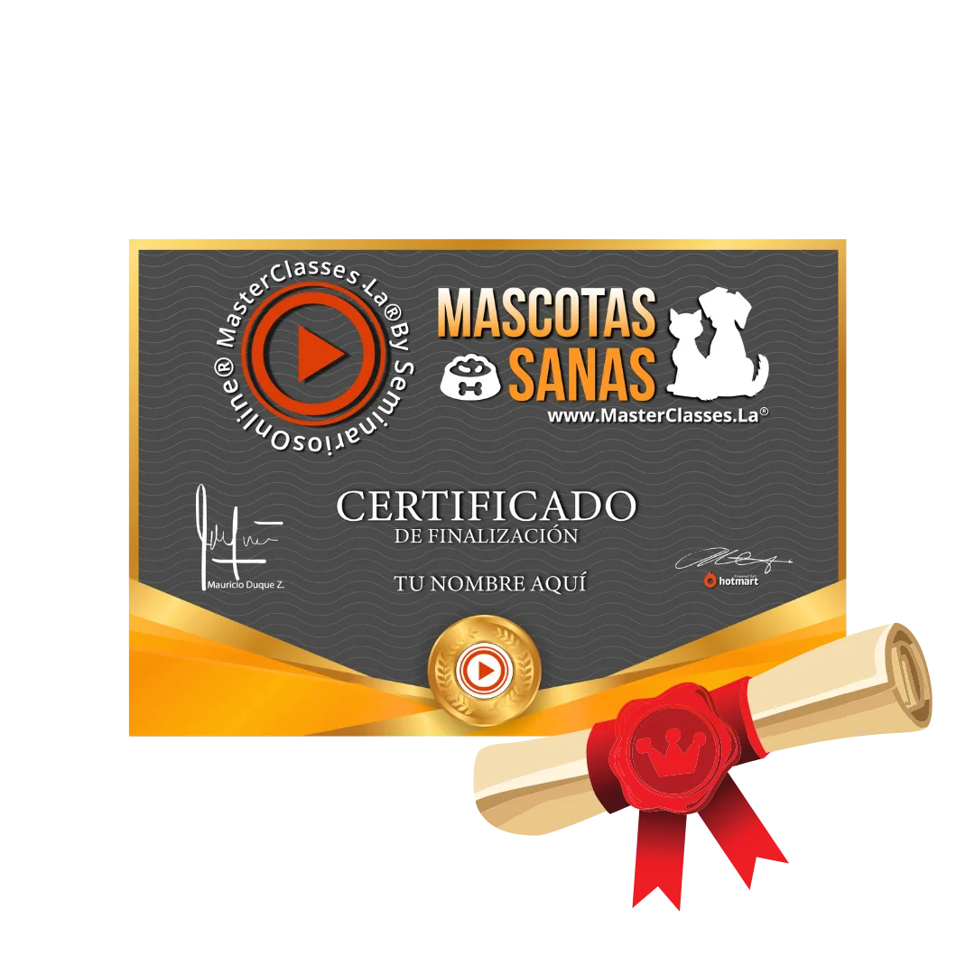 Certificado